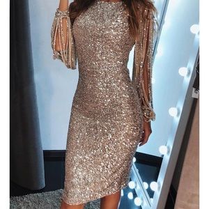 Brand new nude sequin dress